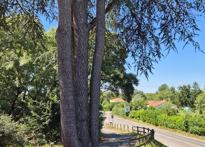 La Longere Du Moulin, T2 Independant Equipe Avec Cuisine, Parking Individuel Avec Portail, Salon De Jardin, Belle Grande